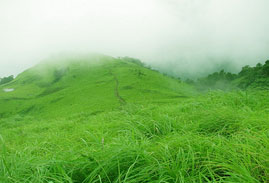 Tourist Places in Kannur